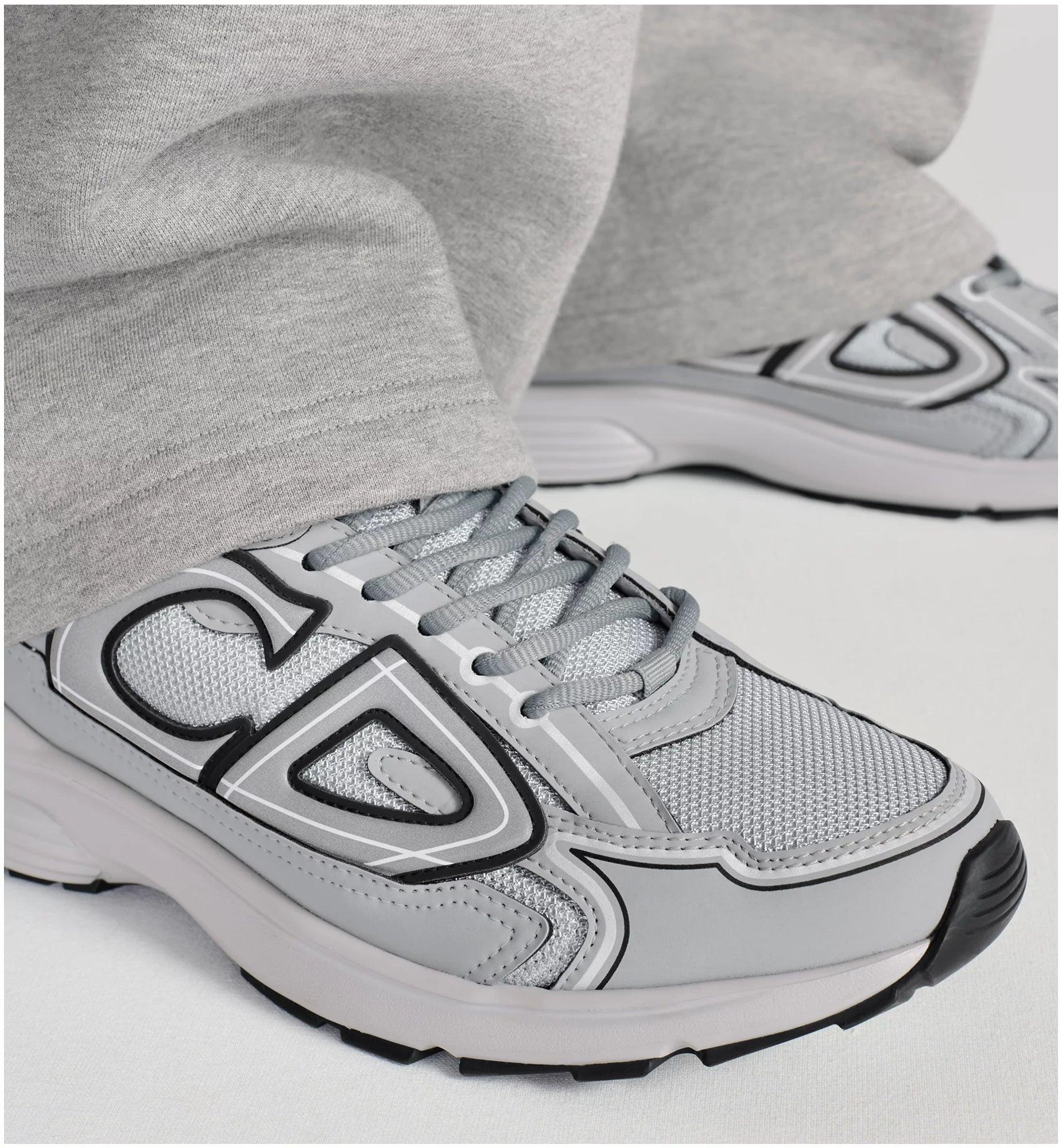 DIOR B30 Sneakers Gray