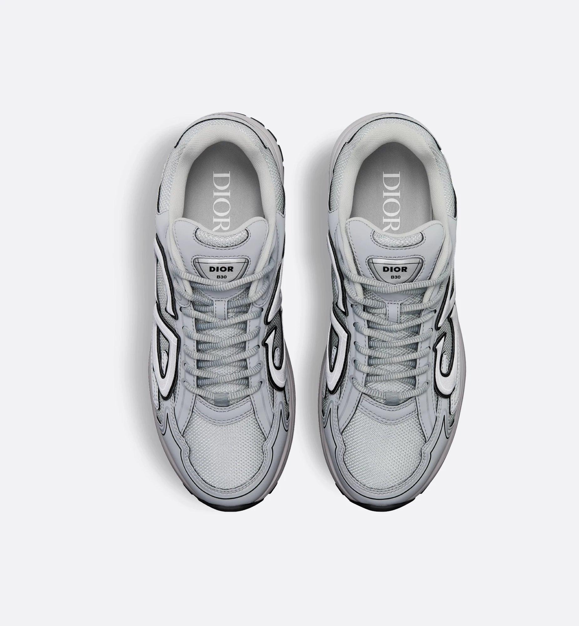 DIOR B30 Sneakers Gray